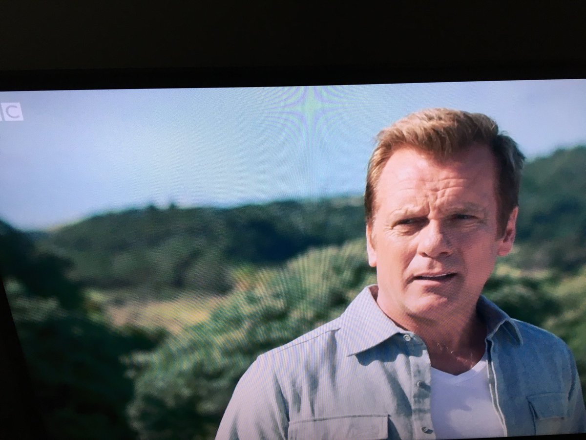 spanswicktweets's tweet image. Well well well two years I’ve waited and #800words snuck up on me 👏🏻👏🏻👏🏻 George is back!