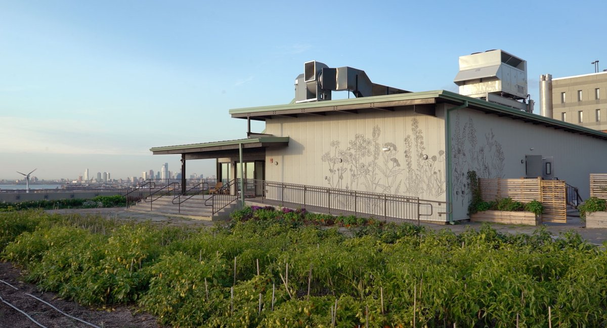 We've got updates on all of our new programming as we head into winter. More tours, all things hot sauce, and info on our new space in Sunset Park. Hit the link and give us a holler with any questions! bit.ly/3nbBuuG
