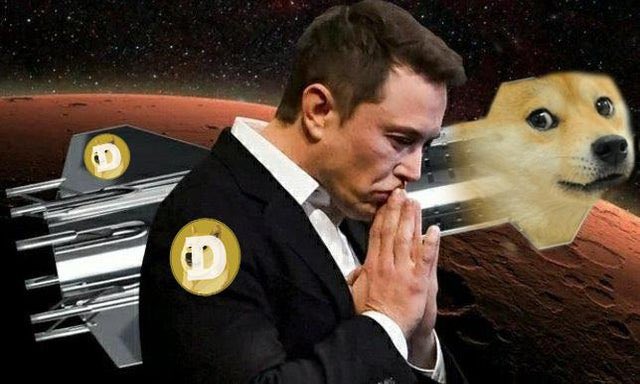JohnDeMarcus's tweet photo. @YearOfDoge @dogecoin @Dogecoinvalue #offToMars ๐๐ https://t.co/wBducw83Lm