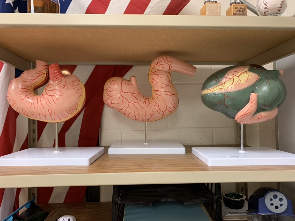 FFA_Farny's tweet photo. Excited for the new classroom models created by @RealityworksInc! These were purchased with the IL AgEd Incentive Funding Grant. This is why it’s important that legislators continue to support the AgEd Line Item. #Agvocate #Digestion #EducationalModels #AgEd #AnimalScience #Learn https://t.co/xVxqg0YEC2