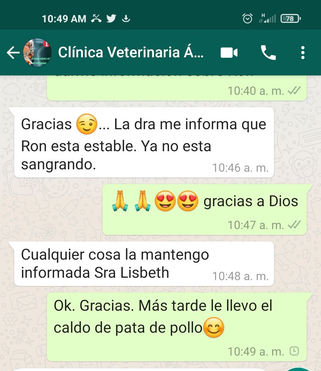 MamaLisVzla's tweet photo. Primer reporte del día 😍🙏💪. Gracias a todos por sus oraciones y buenos deseos para mi Roncito. https://t.co/88vnDrvrOS
