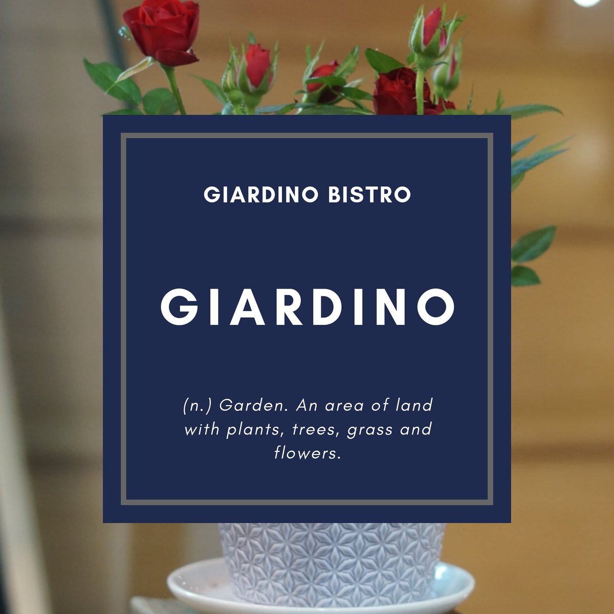 GiardinoSheff's tweet photo. A little bit of background behind our name! 

We may not look like an actual garden but we hope to offer the same welcoming atmosphere as one 🍃

FREE DELIVERY:
https://t.co/F6UeVdH2UL

#Sheffield #Sheffieldissuper https://t.co/m6OLVZgYcH