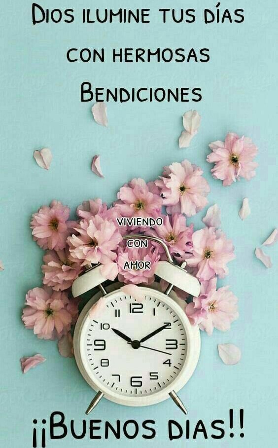 Lore 🇨🇷 tweet media