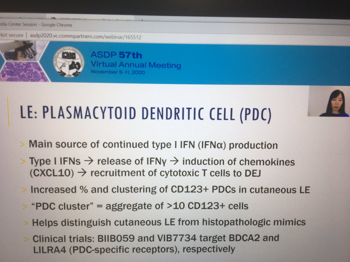 tonitatirado's tweet image. #dermpath #ASDP20 criteria when interpretation of CD123 clusters of at least 10 cells