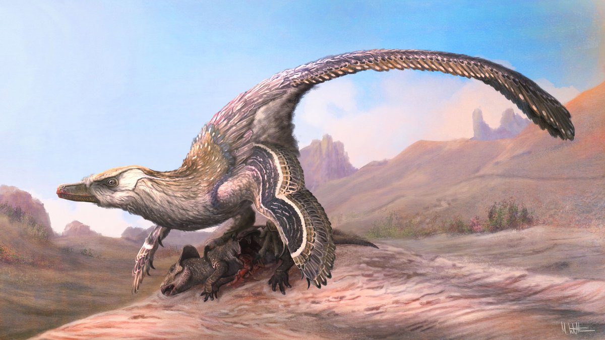 Mark Witton on Twitter: Random Tuesday afternoon Velociraptor vs.  Protoceratops #paleoart, just for fun.… 