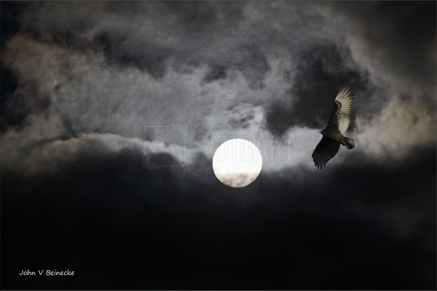 One WonUp Win #miscellaneous wonup cash #photocontest by John Beinecke votoart.com/challenge.php?… <a href="/votoart/">VotoArt Photography</a> #photography