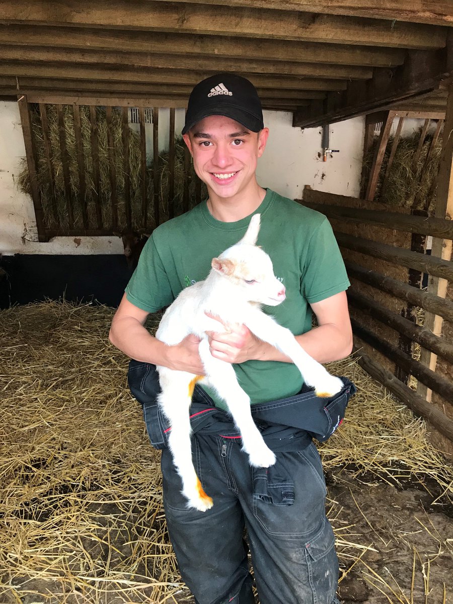 Farm staff continued to look after our animals throughout the crisis, keeping them well fed and eager to meet new visitors when they return #CouncilsCan