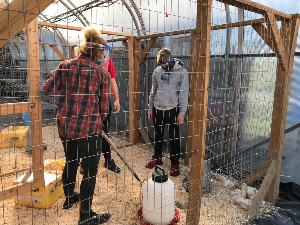 MHS_Vibe's tweet photo. Mrs. Thompson’s Animal and Plant Science class raising chicks. https://t.co/IMaPOJpOxD