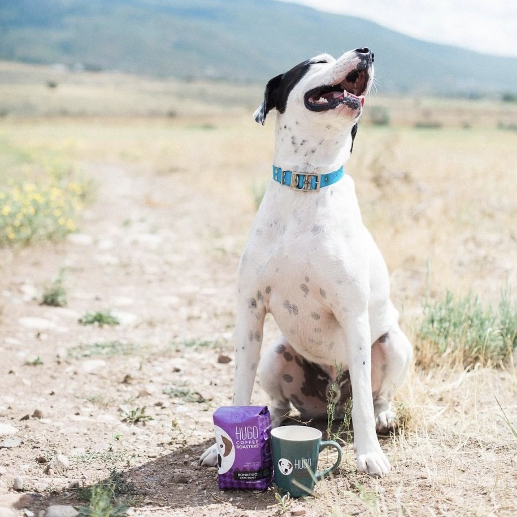 GravityFedInc's tweet image. SIGN-UP to the @thehugocoffee affiliate program, and make money while promoting fair trade #organiccoffee that makes dog rescue a part of their mission! Terms/sign-up link: gravityfed.com/hugo-coffee-pa…

#dogrescue #affiliateprogram #adventuredogs #savedogs