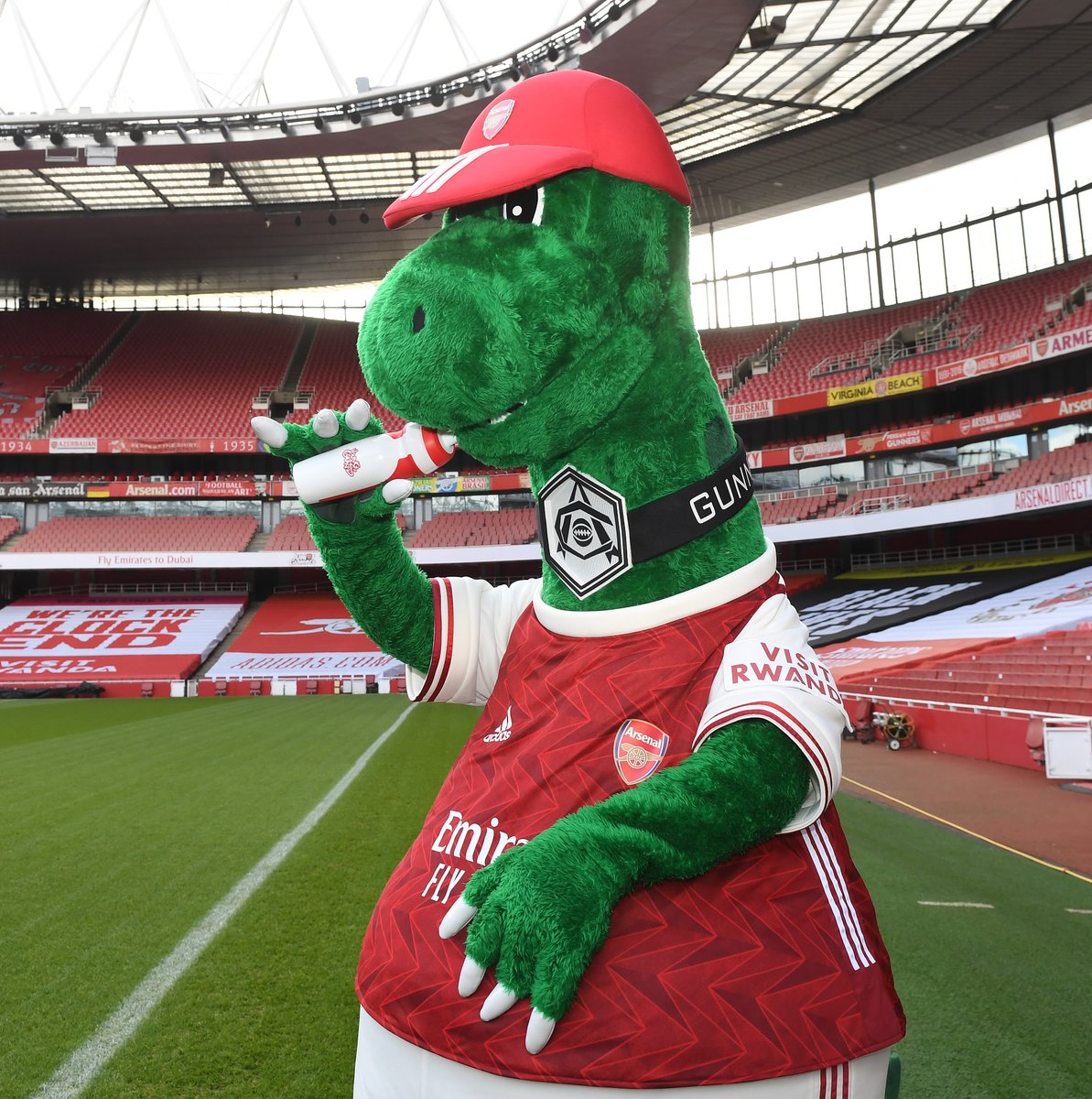 Gunnersaurus tweet media