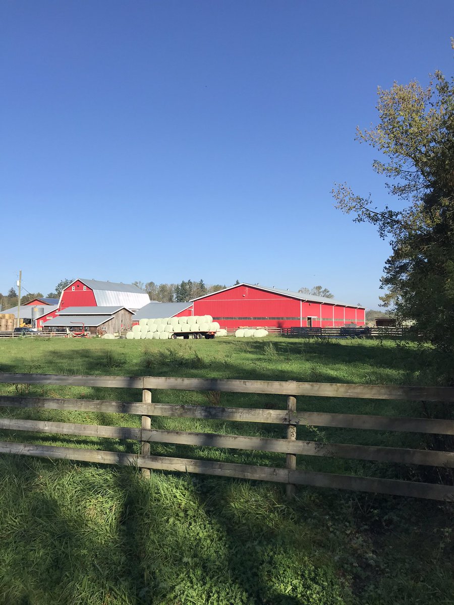 PMCTri's tweet photo. Loving fall as much as we are? 🍁☀️🍂
#falllandscapes #fallscenery #autumnvibes https://t.co/Pbom8X89FC