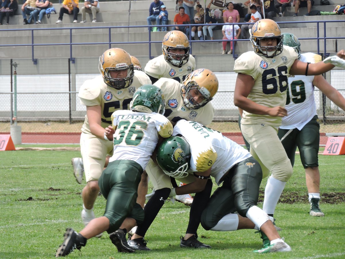 OnefaOficial's tweet photo. @_PotrosSalvajes vs @AcatlanPumas
#IntermediaOnefa #delArchivo
π±π±π±ππππππ https://t.co/aa7qzcNHOv