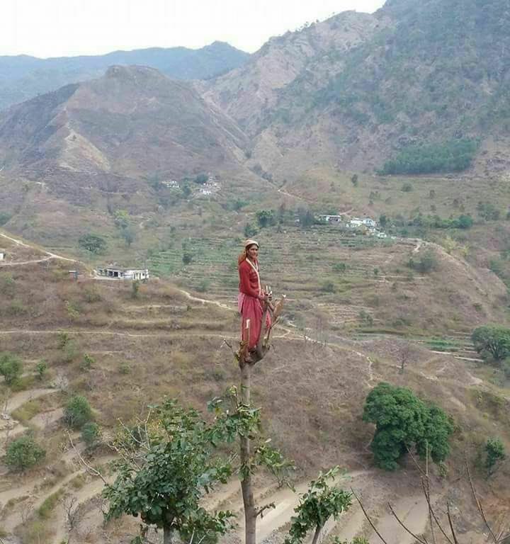 Rameshbhimtal's tweet photo. देवभूमि उत्तराखंड की मातृ शक्ति को यूँ ही सबसे संघर्षशील नहीं माना जाता। https://t.co/iRMxcXo9X0