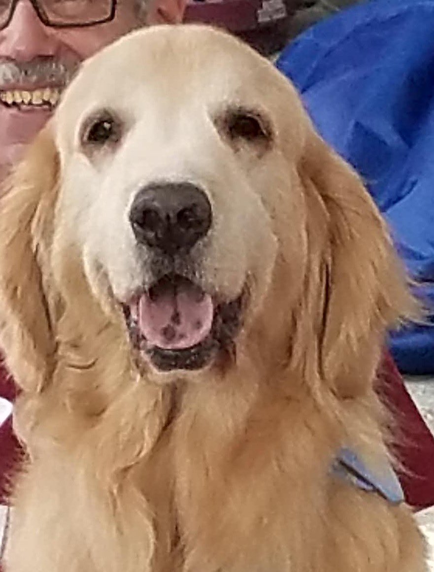 Hey all!  Bam-Bam will be here TODAY (11/10) from 2P-4P in Suites on Maple East, G60!!!  NO APPOINTMENTS NEEDED, just STOP IN!  He can’t wait for visitors! <a href="/IUPedu/">Indiana University of Pennsylvania</a> <a href="/IUPOHRLD/">IUP Housing</a> <a href="/IUPAWARE/">HWP Peer Educators</a> <a href="/IUPATOD/">IUPATOD</a> <a href="/IUPHaven/">IUP Haven Project</a>