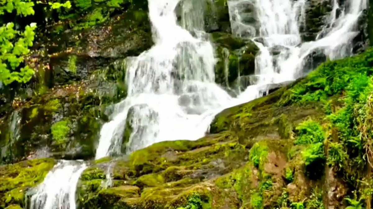 RelaxingMusicW1's tweet image. Waterfall relaxed music | Waterfall sound | nature sound | water sound
Video link
youtu.be/8w_XHcr9G8c

#Waterfallmusic #relaxedmusic #music #Waterfallsound #naturesound #watersound #relaxingmusic