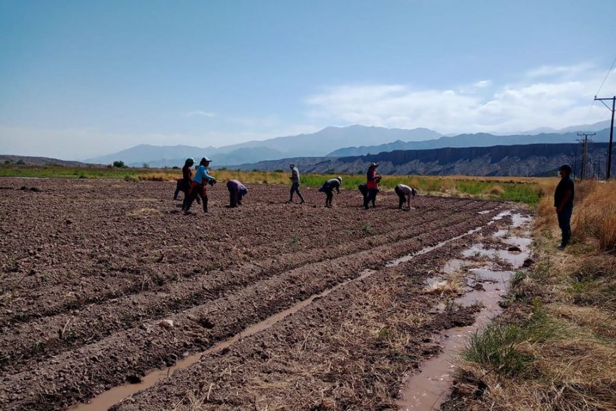 GobiernoSalta's tweet photo. Ruta 40: un plan estratégico hacia el progreso

👉La obra gestionada por el gobernador Sáenz permitirá potenciar el #DesarrolloProductivo y las factibilidades de #Exportación para Salta y la región.
https://t.co/bOumIsII2B

#Salta #GobiernoPresente https://t.co/eMtBGXcHo7