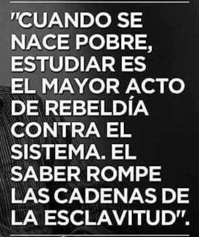 FAWK (@fawkoficial) on Twitter photo 