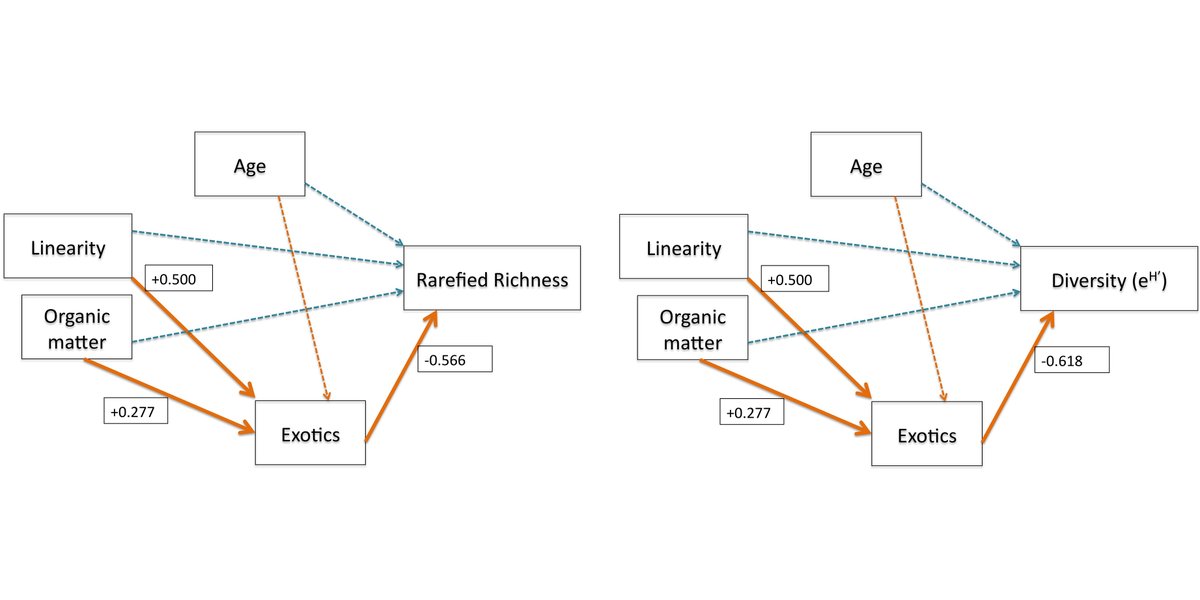 Now online in <a href="/ESAApplications/">Ecological Applications</a>:

Exotic species drive patterns of plant species diversity in 93 restored tallgrass prairies

With #opendata in <a href="/datadryad/">Dryad</a>

#tallgrassprairie #ecologicalrestoration #invasivespecies @andrew_kaul <a href="/BrianJWilsey/">Brian Wilsey</a>

doi.org/10.1002/eap.22…