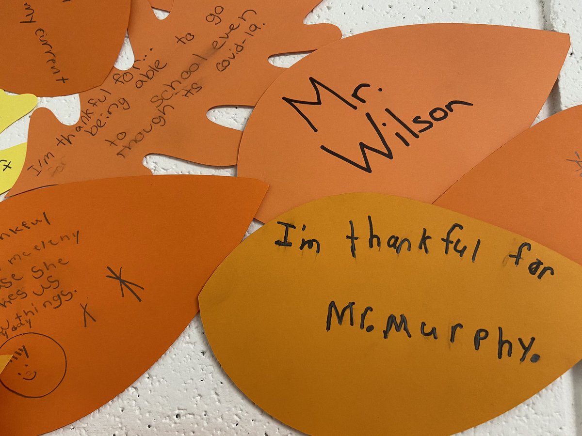 svargaSES's tweet photo. Windermere’s Thankful Tree is growing each day! There are so many people and things to be thankful for at school! 🍁🍂 https://t.co/LIYYTDu3bZ