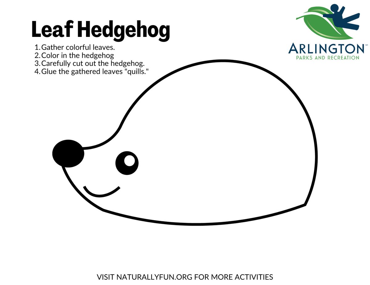 printable-outline-hedgehog-template