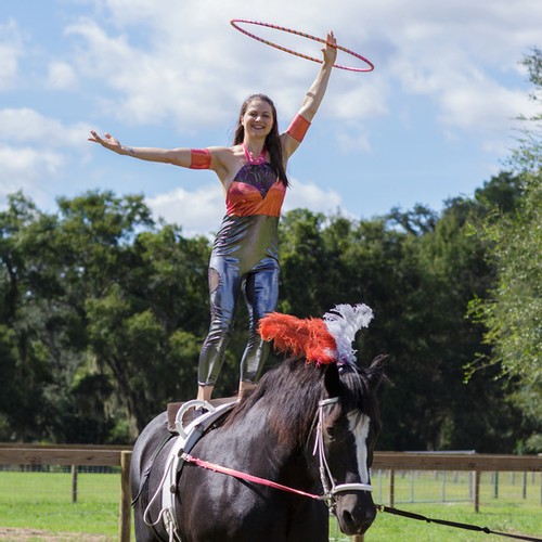A Country Circus comes to Two Hawk Hammock this weekend! There will be furry friends, live music, food, carriage rides and more: ow.ly/8VNZ30rjpm1