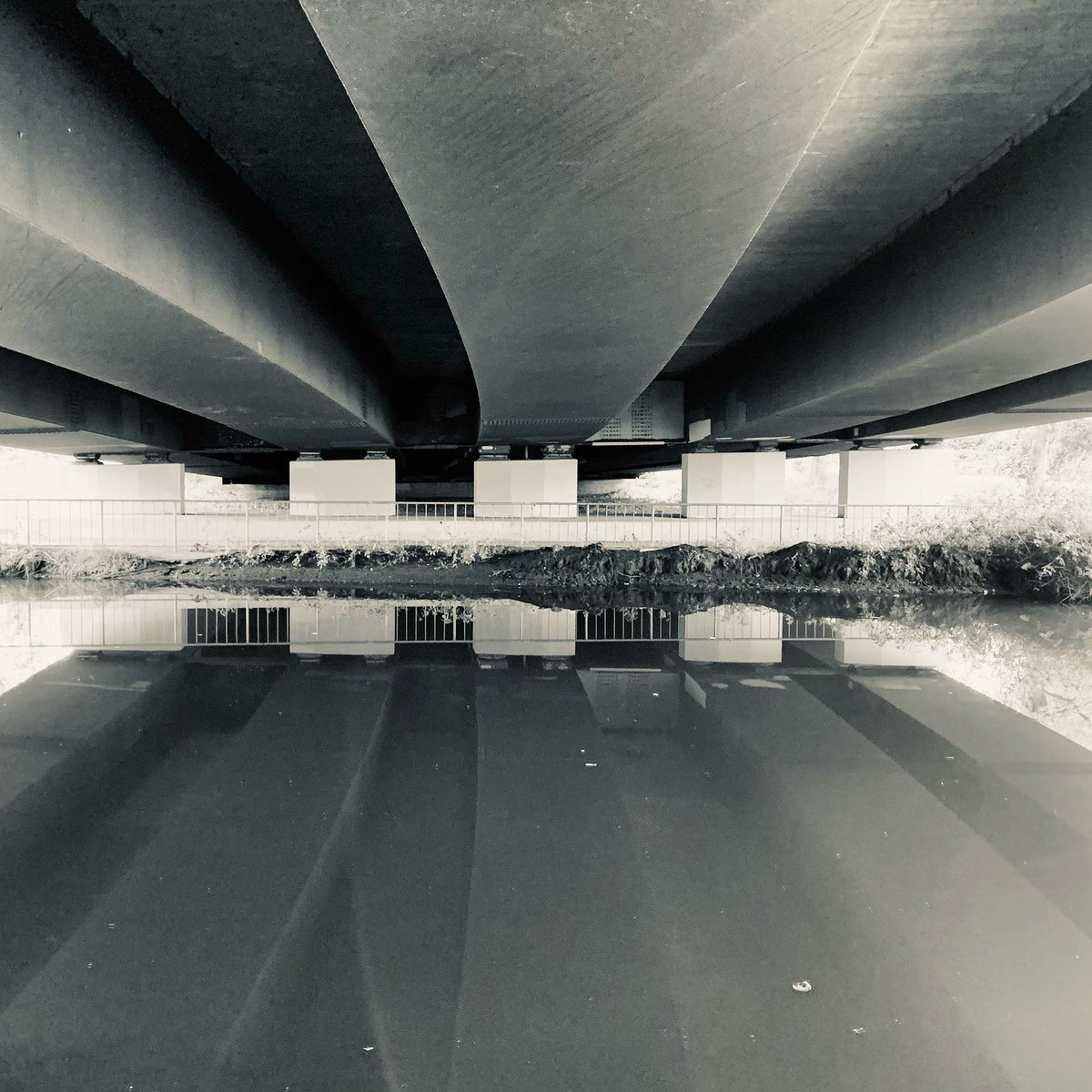 RobertPacey's tweet photo. Entry point.
-
#bwphotography #bwphotooftheday #bw_captures #slowvision #stillcreek #paceybw https://t.co/LjLCApKvmr