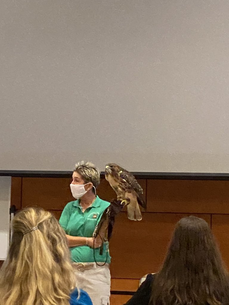 Colleen Ensor tweet media