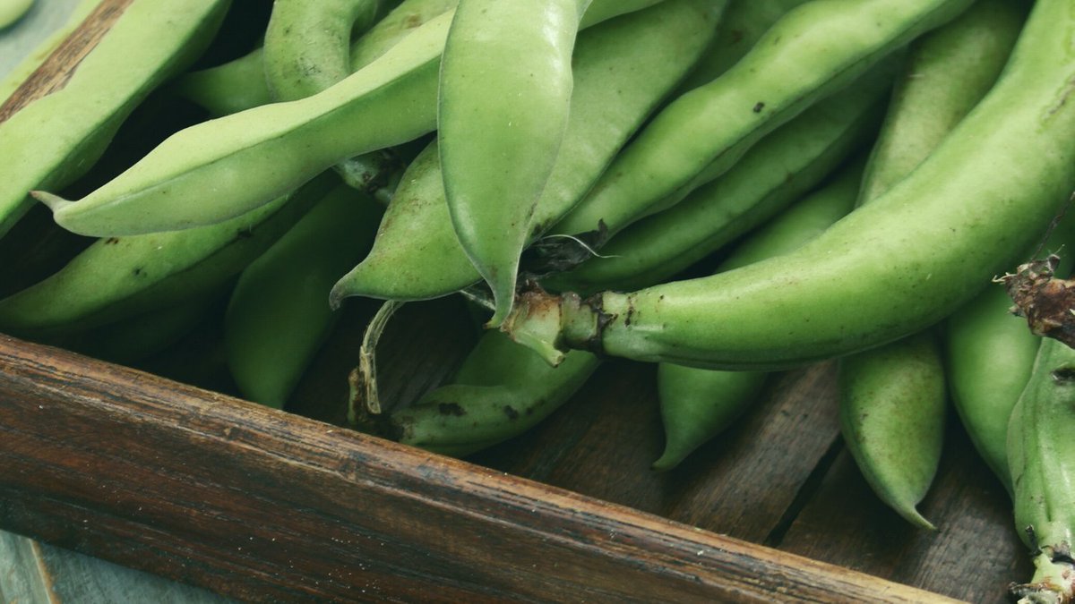 Growing Urban tweet media