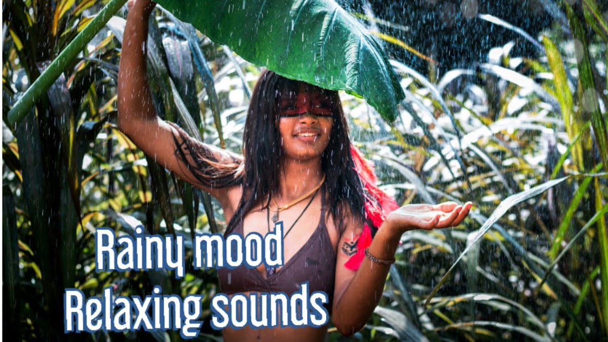 RelaxingMusicW1's tweet image. Rainymood | Rain Sounds Sleep &amp;amp; Study | Rainy meditation music | chill music | calm music Relax
Video link👇
🛑 youtu.be/D9yzcHvpPgM

#Rainymoodmusic #Rainmusic #rainSounds #Sleepmusic  #Studymusic  #Rainymusic #meditationmusic #music #chillmusic #calmmusic #Relaxmusic