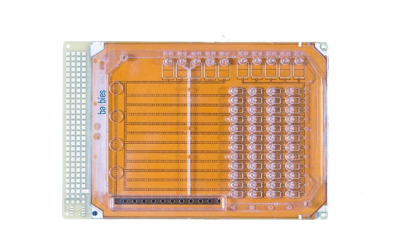 baebiesinc's tweet image. 1 in 7 babies born in the U.S. are screened on Baebies SEEKER for lysosomal storage disorders - including MPS I and Pompe disease. Learn more about #NewbornScreening with #DigitalMicrofluidics technology: hubs.ly/H0zCK6c0 #HealthyStart #MPSI #Microfluidics #Innovation