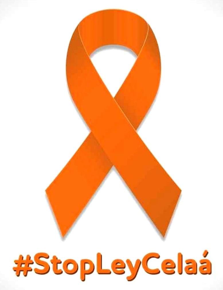 ¿Todavía no sabes qué significan estos lazos naranja que mañana llenarán de color las ventanas y fachadas de tu ciudad? Significa un NO rotundo a la LOMLOE y un #StopLeyCelaá. Queremos educar a nuestros hijos en libertad. Mañana #sacaelcolor y dile NO a la LOMLOE. #MasPlurales