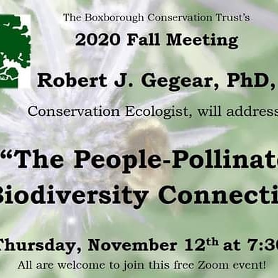 Boxborough Conservation Trust tweet media