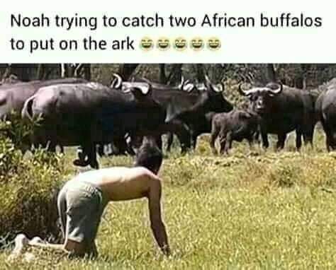 This is a thread of memes that exposes the flaws and discrepancies in religion.Kindly drop your memes under this thread 