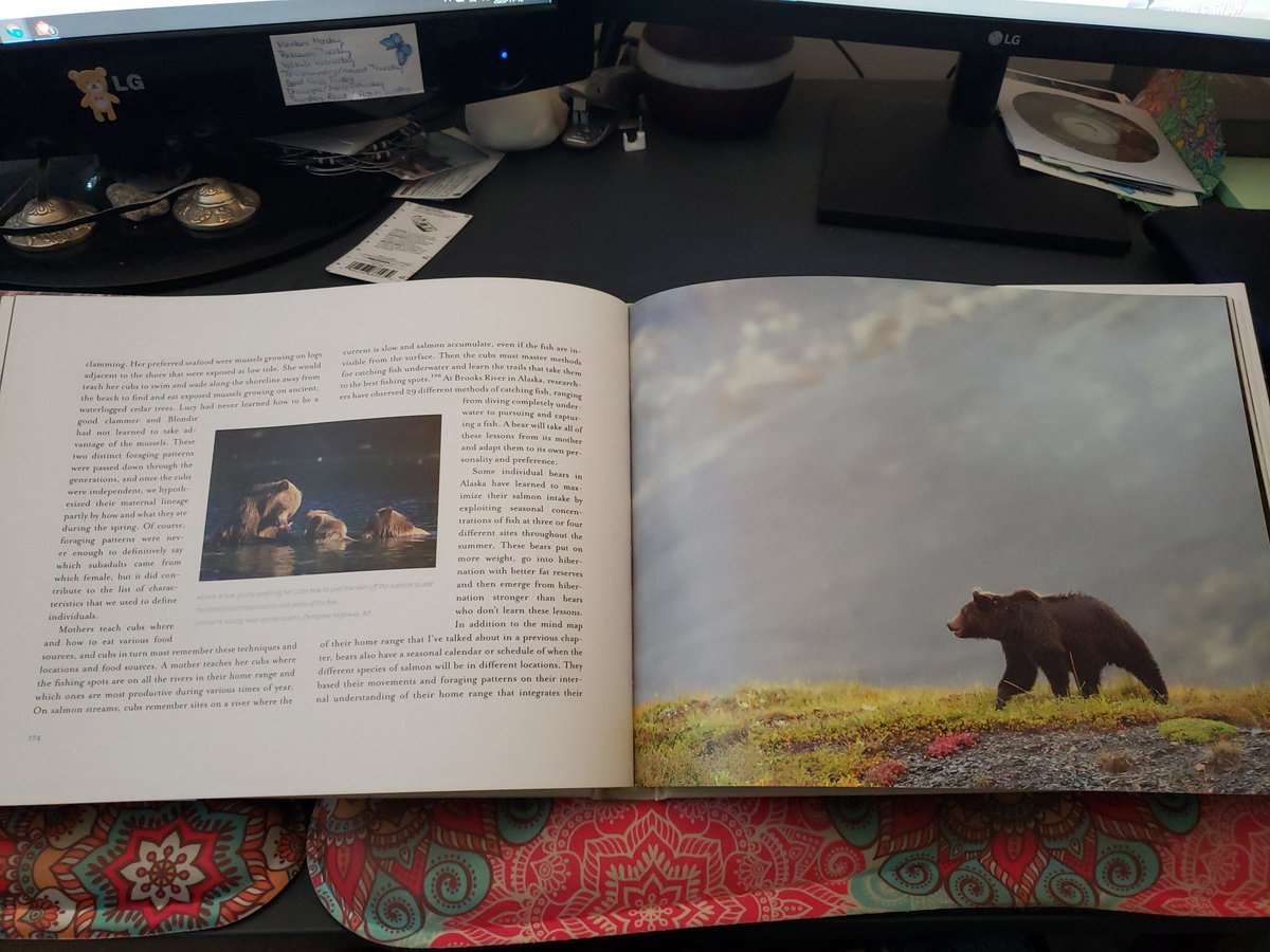 ElmeligiSarah's tweet photo. WHAT BEARS TEACH US is released! @JohnEMarriott and I are stoked to share this awesome book w you all! "A bear will take all of these lessons from its mother and adapt them to its own personality and preference." Just like me! @rmbooks #wbtu #bearslearn https://t.co/ebAIBkrYpF https://t.co/oQVHeWr7Ob