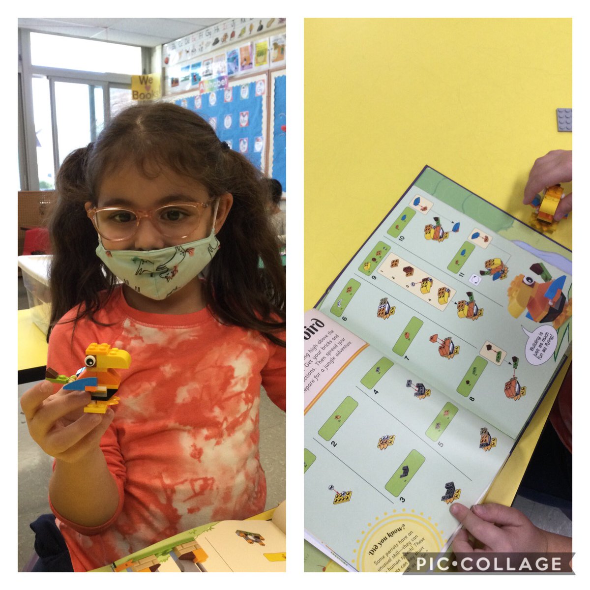 Jennifer Levi tweet media