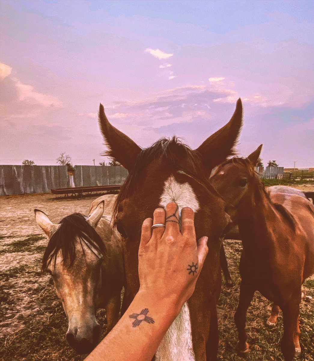 stay_inurlayne's tweet photo. the older i get the more i understand that life is just miles and hours. a smart man will only spend those on a good horse with good company. And only a fool would spend them judging and comparing. I’ve learned that God and humbling experiences is what fuels my grind. to 23🌞 https://t.co/7CWv2XYO22