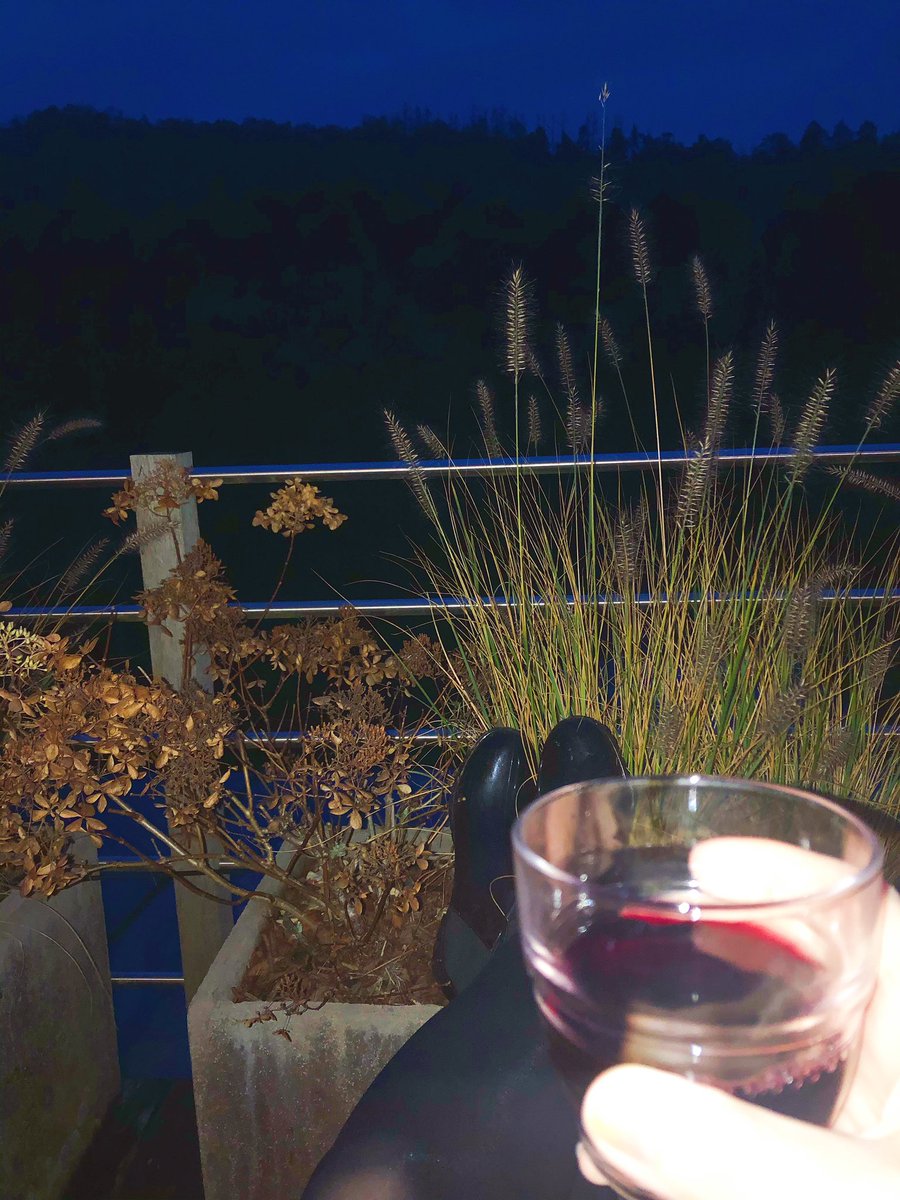 Alicja_King's tweet photo. Listening to #myfavoritemurder in the woods, wrapped in chunky knit with wine... #ssdgm https://t.co/S0LWVZ8WgC