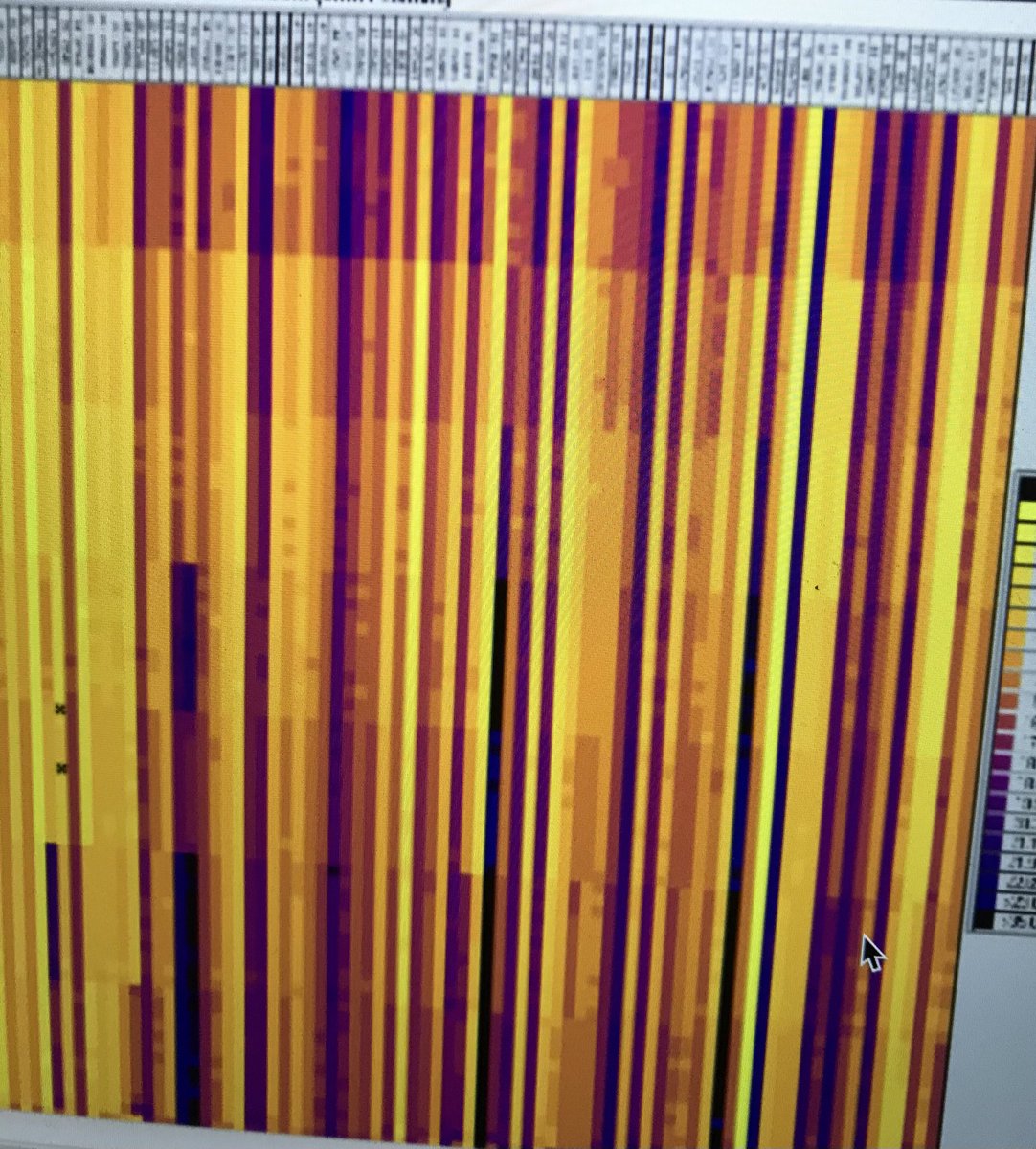 UoM_DCS's tweet photo. During #lockdown v1 I learnt a bit about @rstudio so I’m using it to analyze this bunch of RNA expression data #qRTPCR... 🤔 What will it be for the #2ndLockdown?? Any suggestions? -ASG https://t.co/FstVr7vZjz