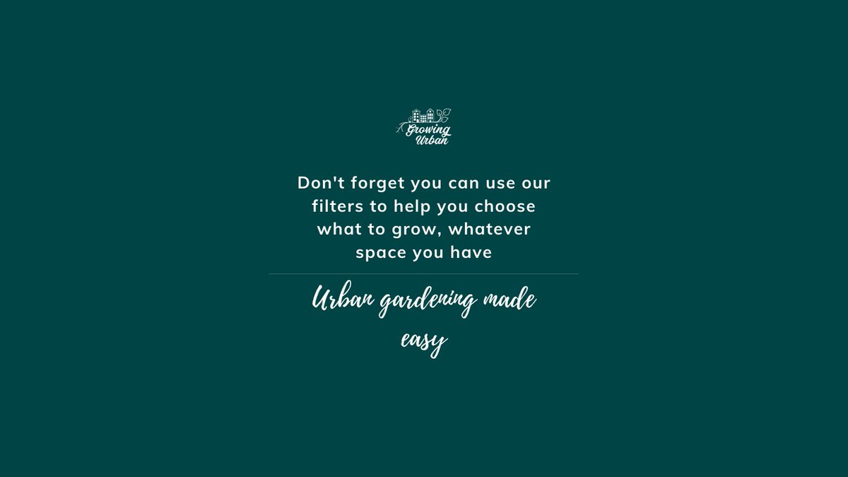 Growing Urban tweet media