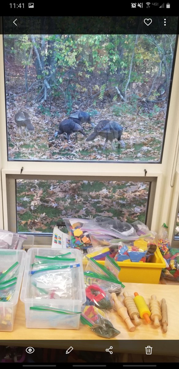 MrsWyland_HHS's tweet photo. I was visiting Ms. Ternullo's kindergarten class today and Ms. Ternullo was talking about reading Turkey Trouble when some turkeys decided to join us. :) They love HHS as much as we do! @LPS_Fennessy @CPerrySTEM @superkvogel @LTernullo https://t.co/eyryUl0Jy8
