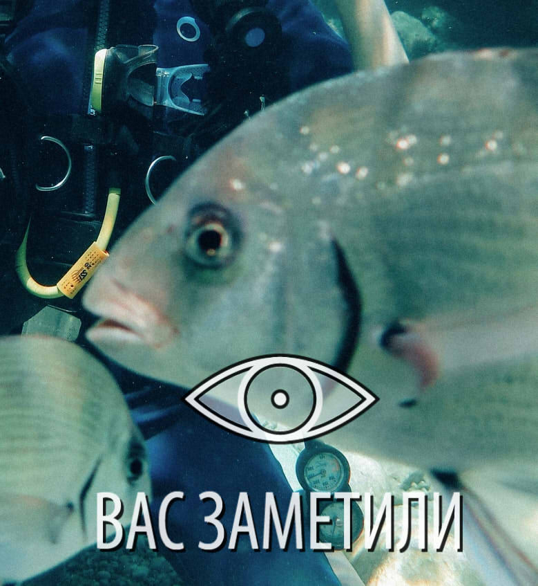 Вас заметили мем
