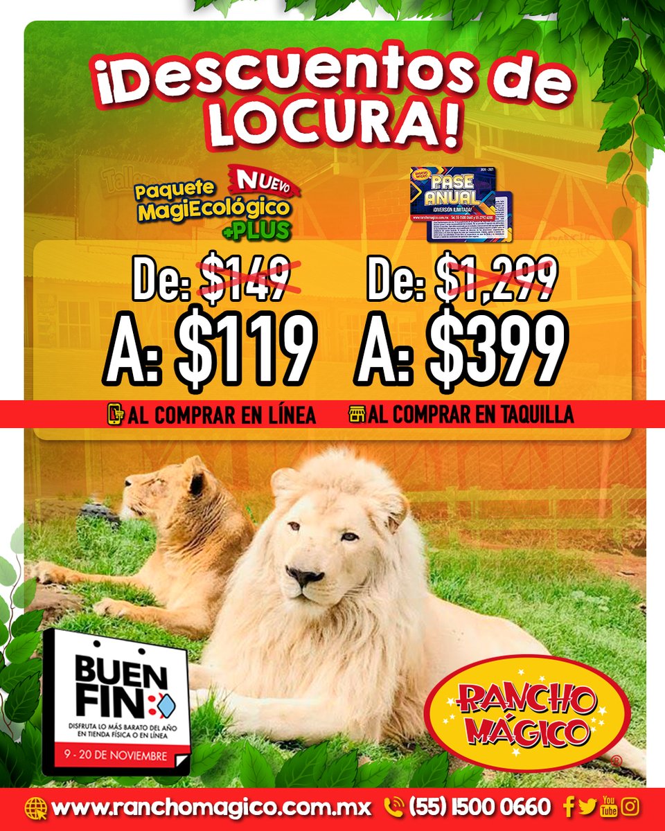 Aprovecha nuestros descuentos de locura que estarán vigentes hasta el 20 de noviembre y ven a vivir una experiencia inolvidable en familia. 🤠

🗓️ Visítanos todos los sábados, domingos y días festivos oficiales de 10:00 a 17:00 hrs  

ranchomagico.com.mx/.../paquete-ma…...