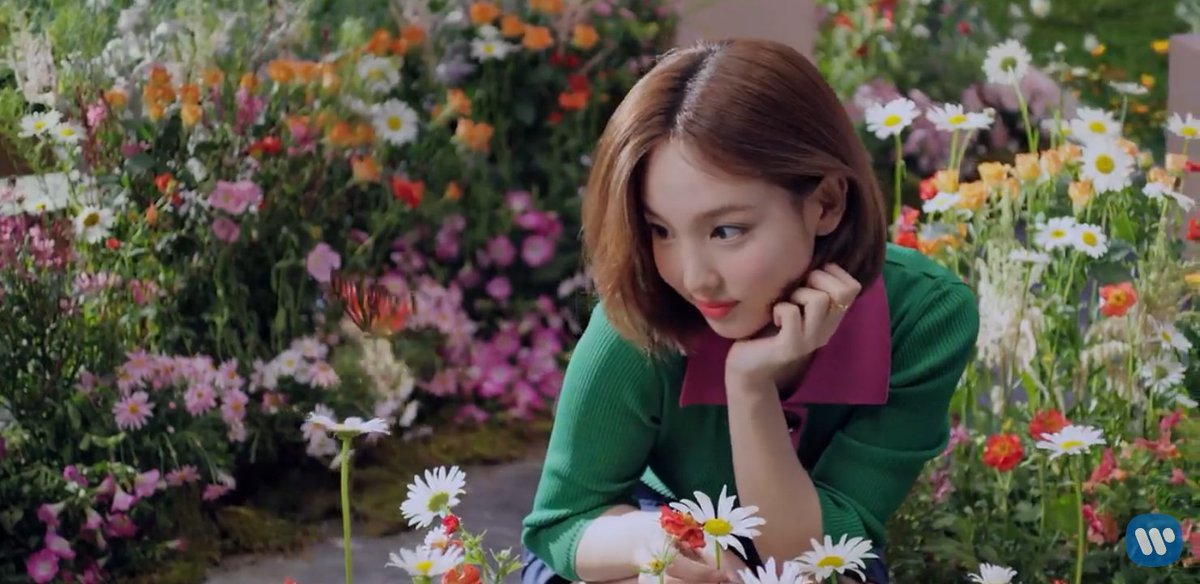 saidaclip's tweet photo. quando eu digo q o twice tem problemas com flores ninguΓ©m acredita
#BETTEE https://t.co/B0TiBk2Cqw