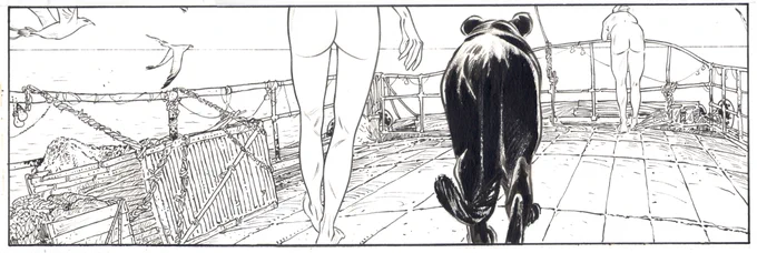 With some years of hard work, came the whole orchestra: 
Brushes, dip pens, liquid ink, more dense ink, much more grain paper, white gouache, grattage, markers of all kinds, closed lines, open lines, straight lines smoothie curves; 
When to push, when to loose, when go hard... 