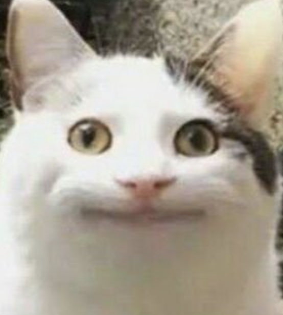 finished my 3rd day of working 3pm-12am because of time difference and i feel pretty much like this