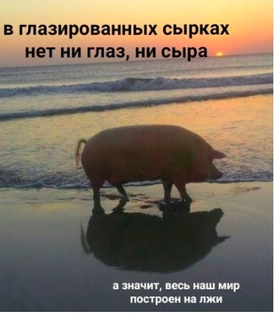 so_mad_so_funny's tweet photo. https://t.co/aLQ9Cm9K4k