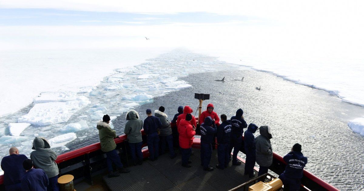 Join us, the <a href="/LATAMProg/">Latin America Program</a>, and <a href="/wilsonCEF/">China Environment Forum 中国环境论坛</a> for a panel discussion on U.S. research and diplomacy in the Antarctic, cosponsored by <a href="/USCG/">U.S. Coast Guard</a> and <a href="/NSF/">U.S. National Science Foundation</a>!

Friday, Nov. 13, 2020
2:00pm – 3:30pm ET
RSVP ⬇️ j.mp/34b7Dfd