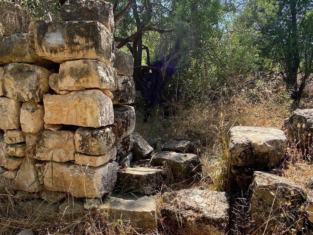 قرية دير الشيخ المهجّرة 🇵🇸❤

تصوير: رمزي عبّاسي