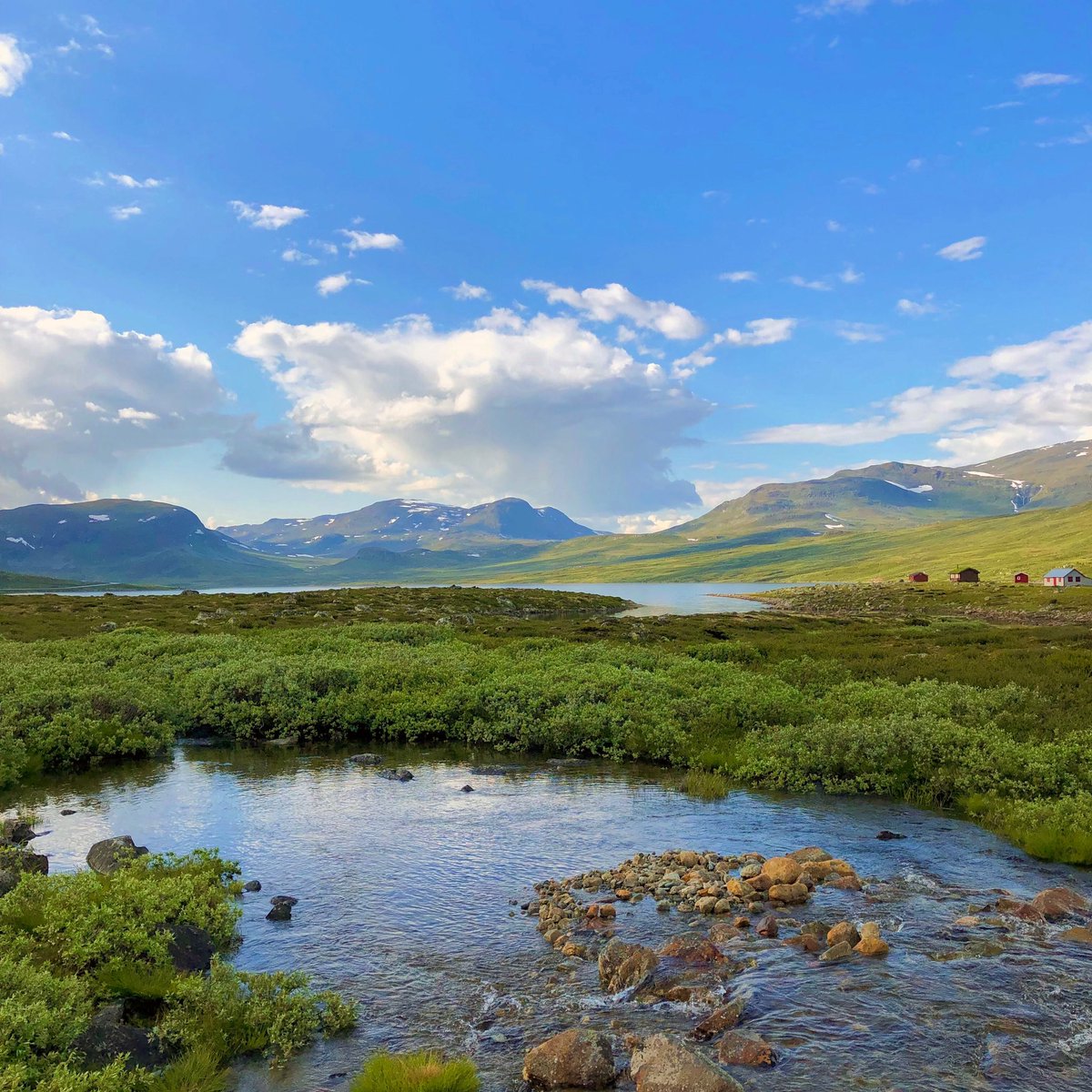 ThroughNatures's tweet photo. https://t.co/XMkAbLBhFW