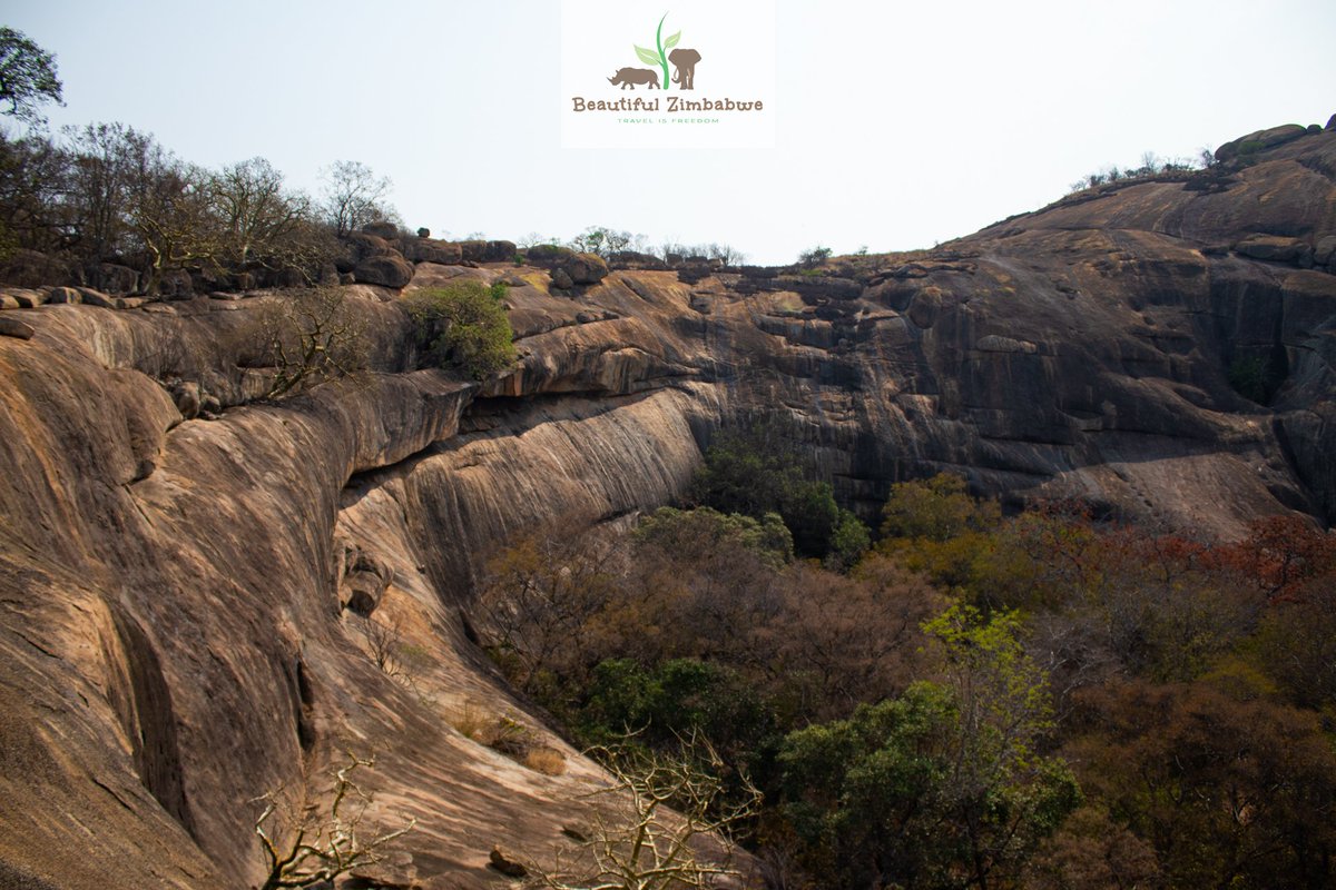 BusaniBango's tweet photo. Pomongwe Cave. Matopo📍 provides easy access to day excursions within the amazing park. You go through a bushy and #green🌿 cool pathway until the massive cave is revealed to you. Have you ever been to this part of Matopo?  #Matopo #TravelisFreedom #BeautifulZim https://t.co/sVGnsHjalZ